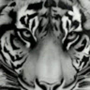 Meet your Posher, Lynn